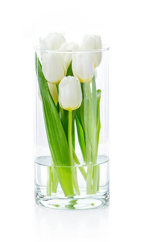 the meaning of flowers to russian women tulips
